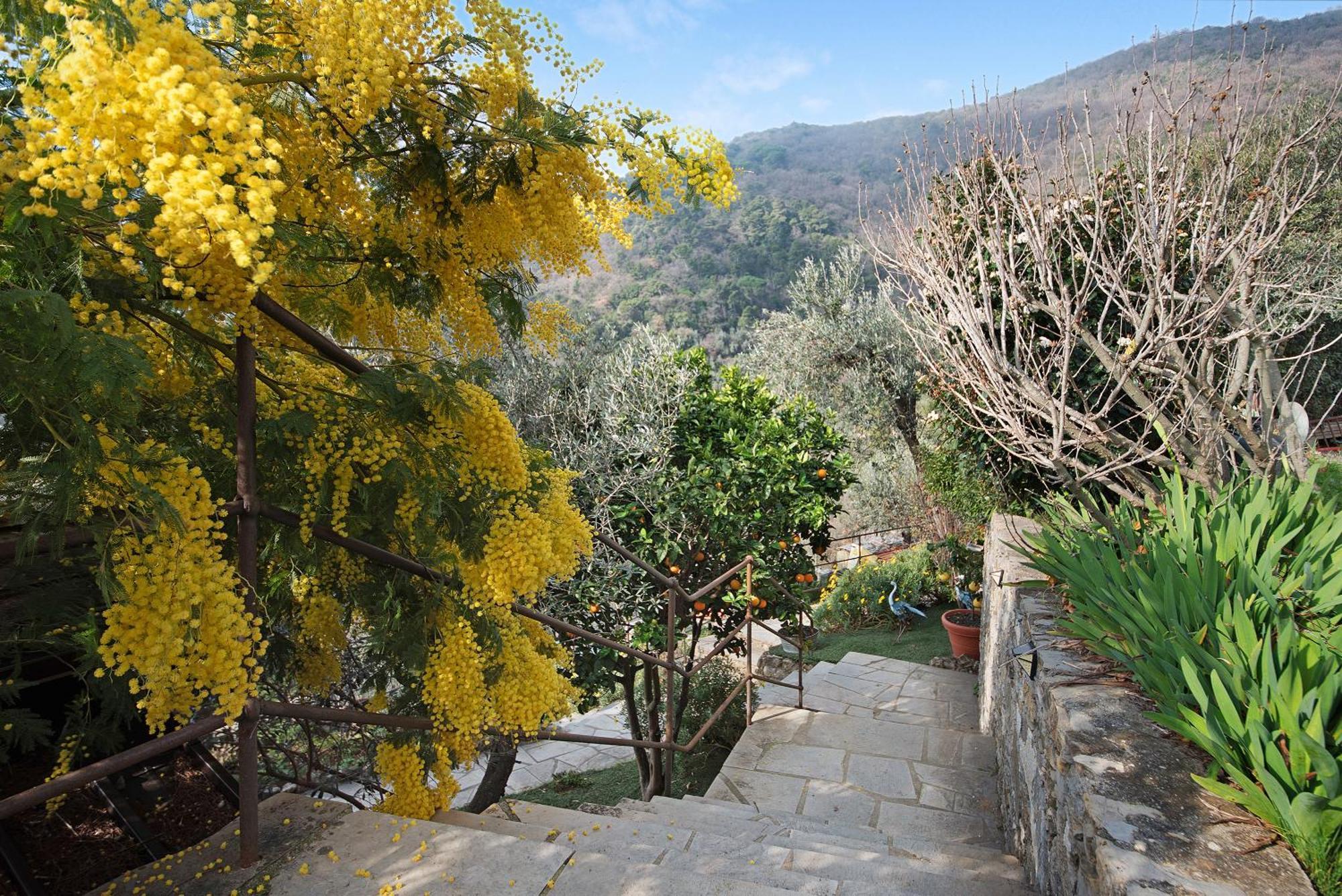 Apartamento Ca' Du Massunin Recco Exterior foto